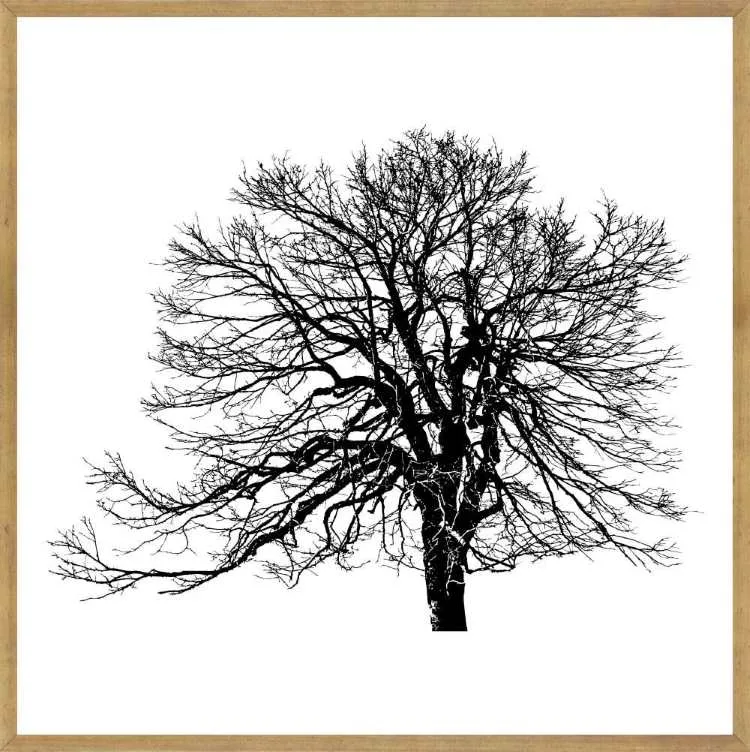 Quadro Abstrato TOP3308 com Vidro 73x73cm Top Art — Paisagens TOP 3310