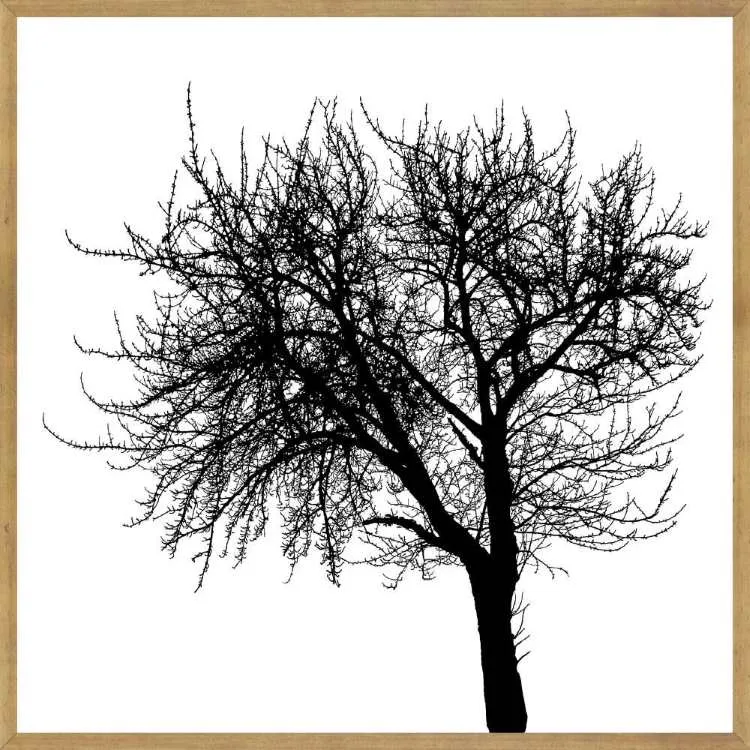Quadro Abstrato TOP3308 com Vidro 73x73cm Top Art — Paisagens TOP 3311